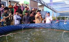 Permalink to Ponpes Makrifatul Ilmi Panen Perdana Ikan Lele Sitem Bioflog
